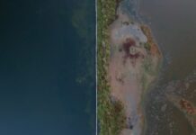 Acqua Benedetta in anteprima alla decima edizione di Lievito Acqua Benedetta film 2023